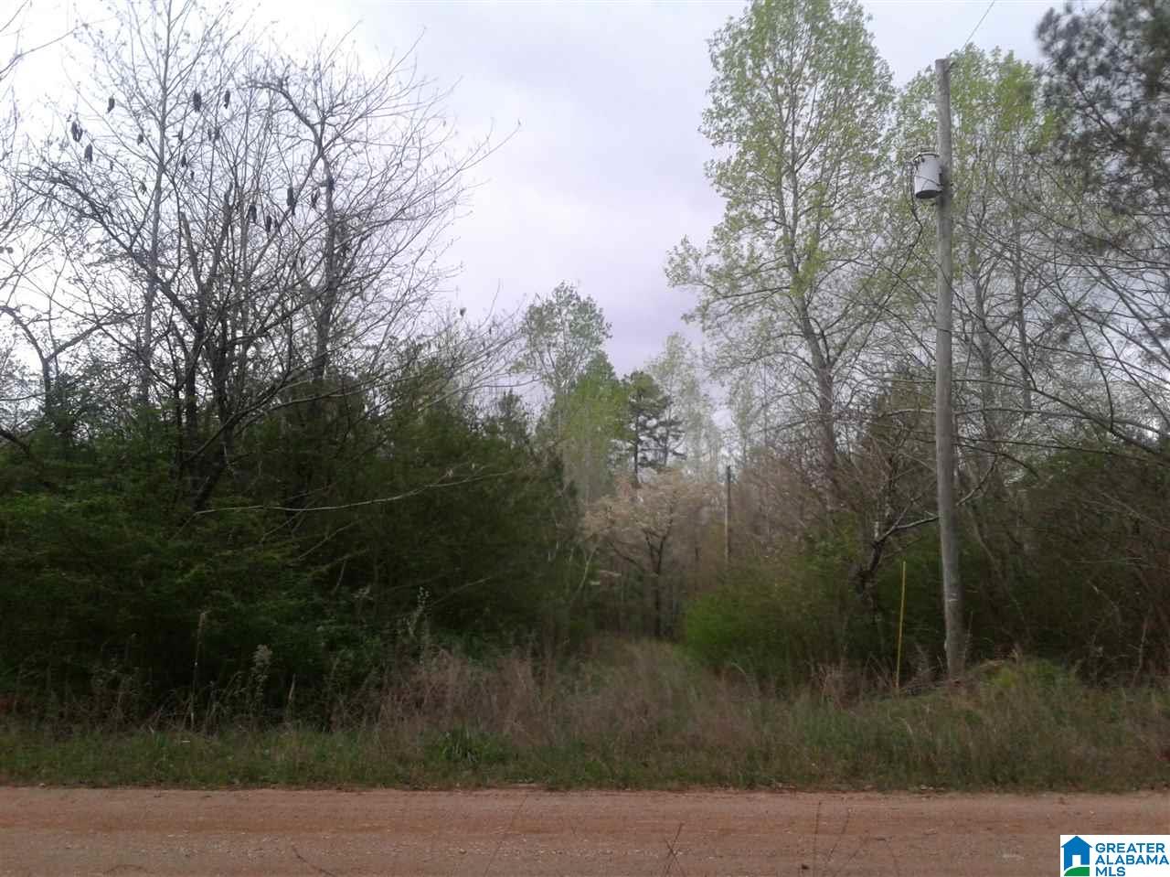288 Fire Station Road, Unit 15 ACRES ( /) Ashland, AL 36251 - Photo 7 of 7