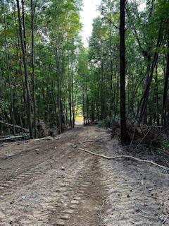 0 Rapp-Montgomery Road Lucasville, OH 45648 - Photo 6 of 11 Rapp Mont.