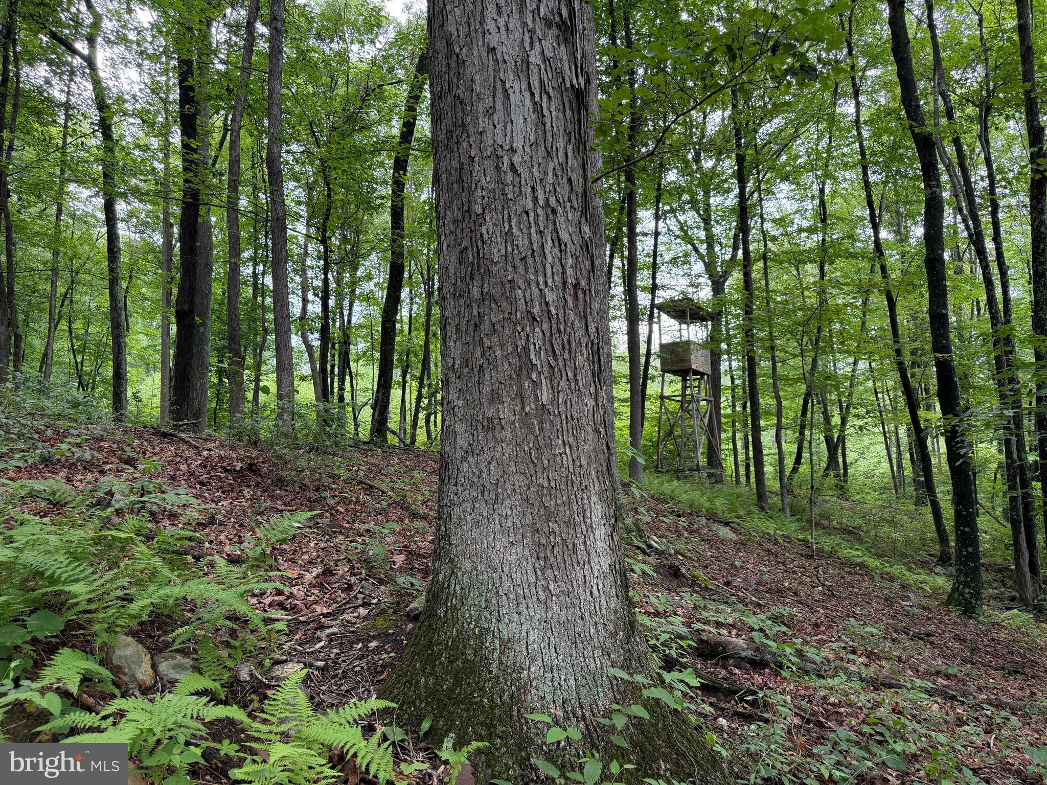 17147 Sugar Run Road Shirleysburg, PA 17260 - Photo 143 of 148