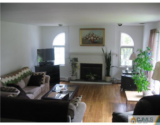 59 Henderson Road Kendall Park, NJ 08824 - Photo 2 of 12 a living room with furniture fireplace and a potted plant