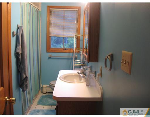 59 Henderson Road Kendall Park, NJ 08824 - Photo 8 of 12 a bathroom with a sink and a mirror