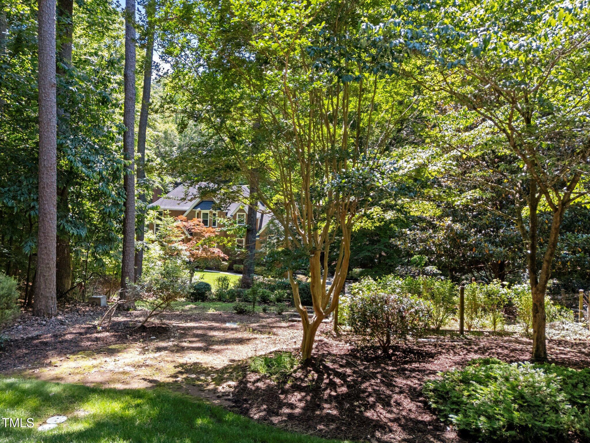 11425 Horseman's Trail Raleigh, NC 27613 - Photo 51 of 64 a view of a yard with plants and trees