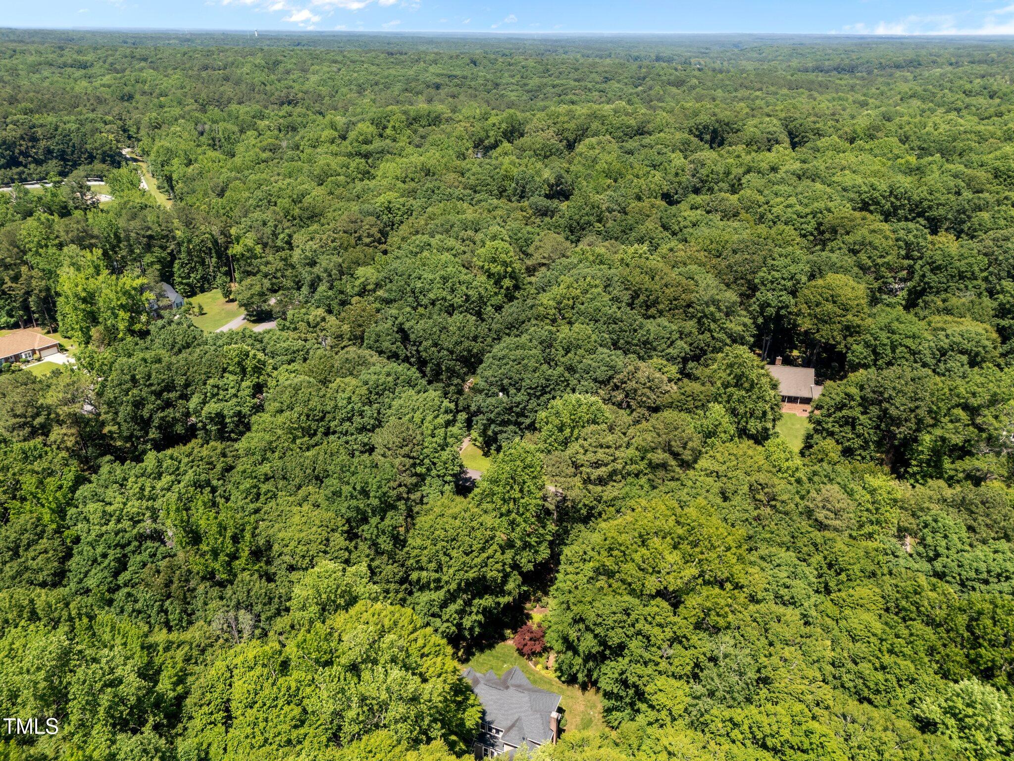 11425 Horseman's Trail Raleigh, NC 27613 - Photo 63 of 64 an aerial view of residential houses with outdoor space and trees