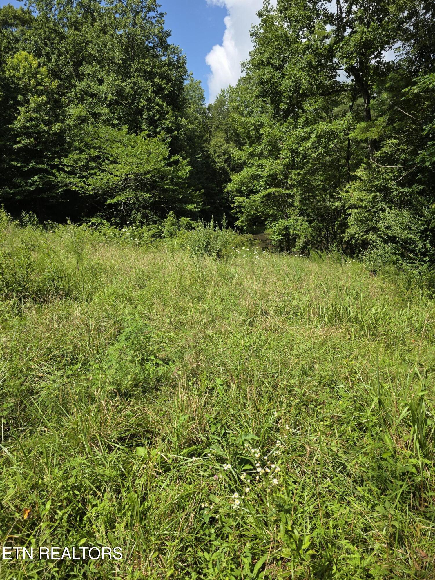 0 Buell Lane Speedwell, TN 37870 - Photo 13 of 26 20250716_112710