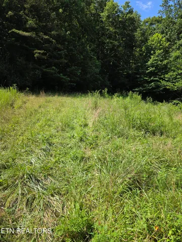 $650,000 | 0 Buell Lane, Speedwell, TN 37870