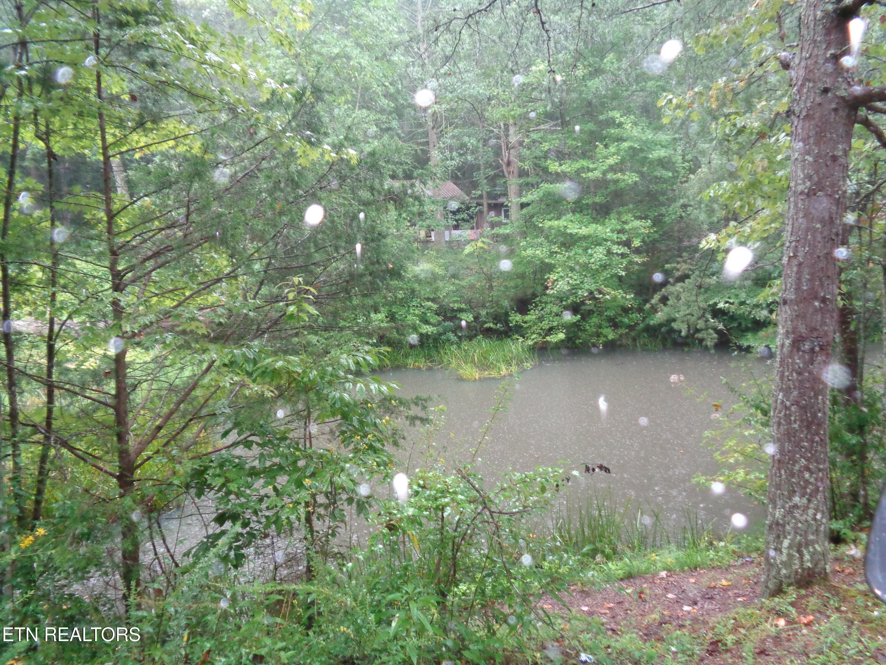 0 Buell Lane Speedwell, TN 37870 - Photo 19 of 26 DSC00890