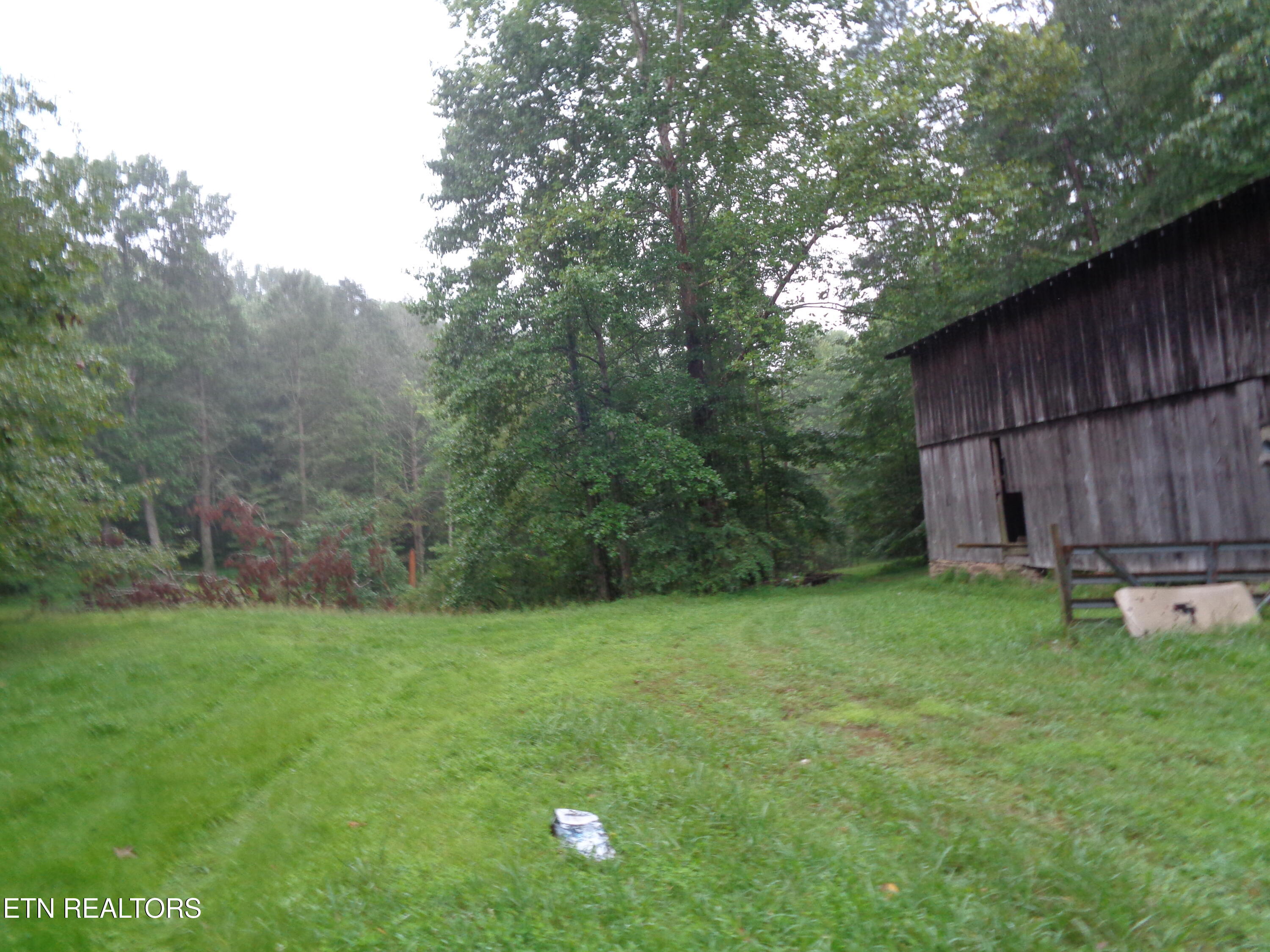 0 Buell Lane Speedwell, TN 37870 - Photo 21 of 26 DSC00893