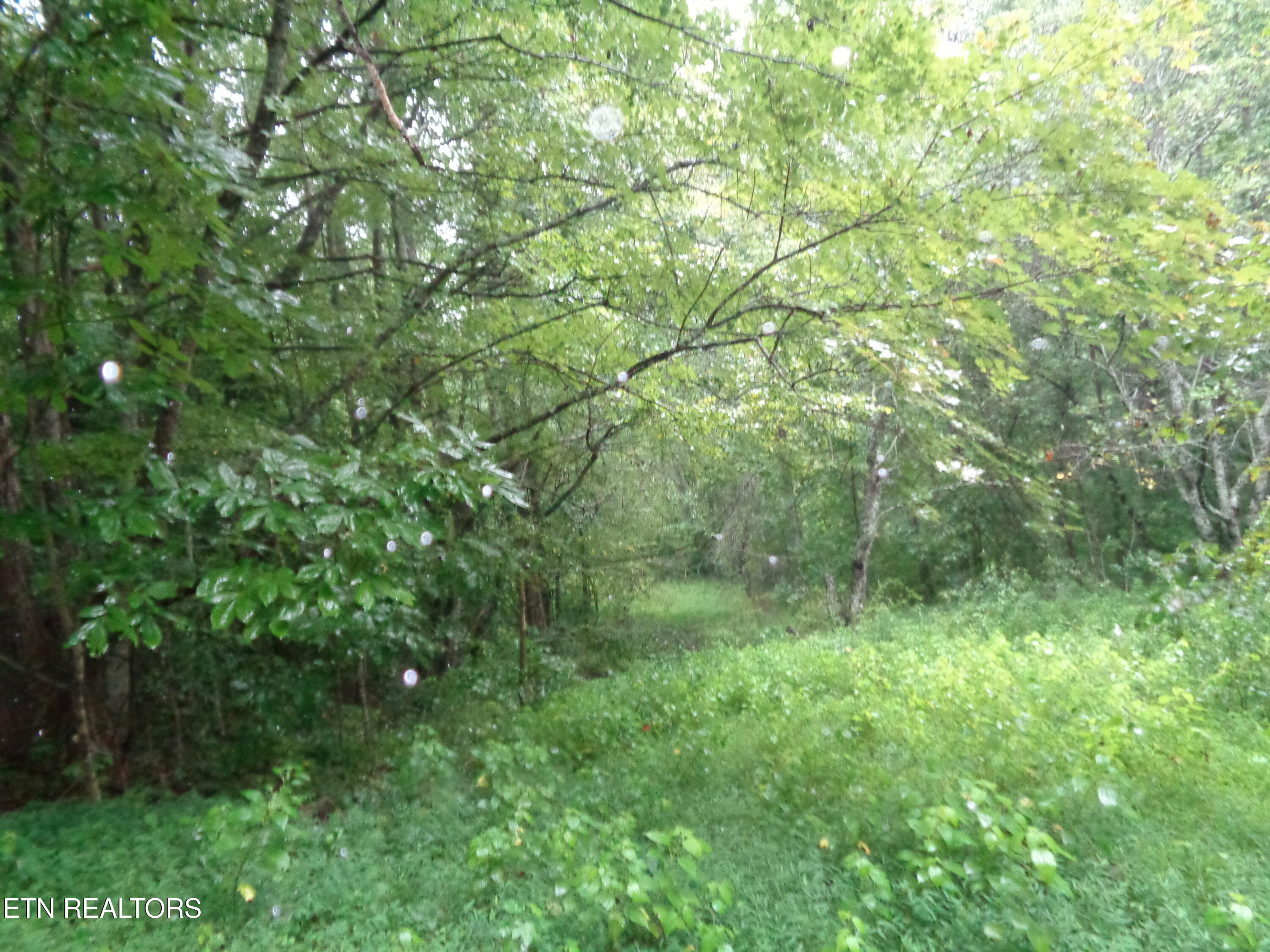 0 Buell Lane Speedwell, TN 37870 - Photo 22 of 26 DSC00894