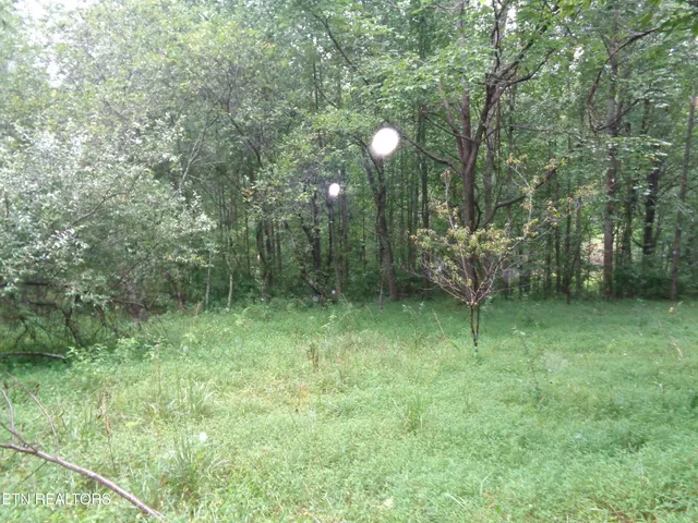 $650,000 | 0 Buell Lane, Speedwell, TN 37870