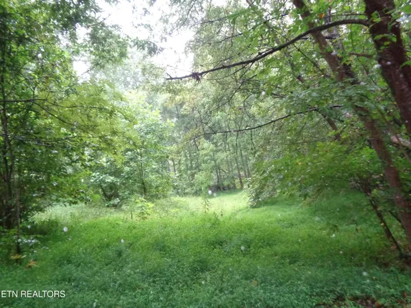 $650,000 | 0 Buell Lane, Speedwell, TN 37870