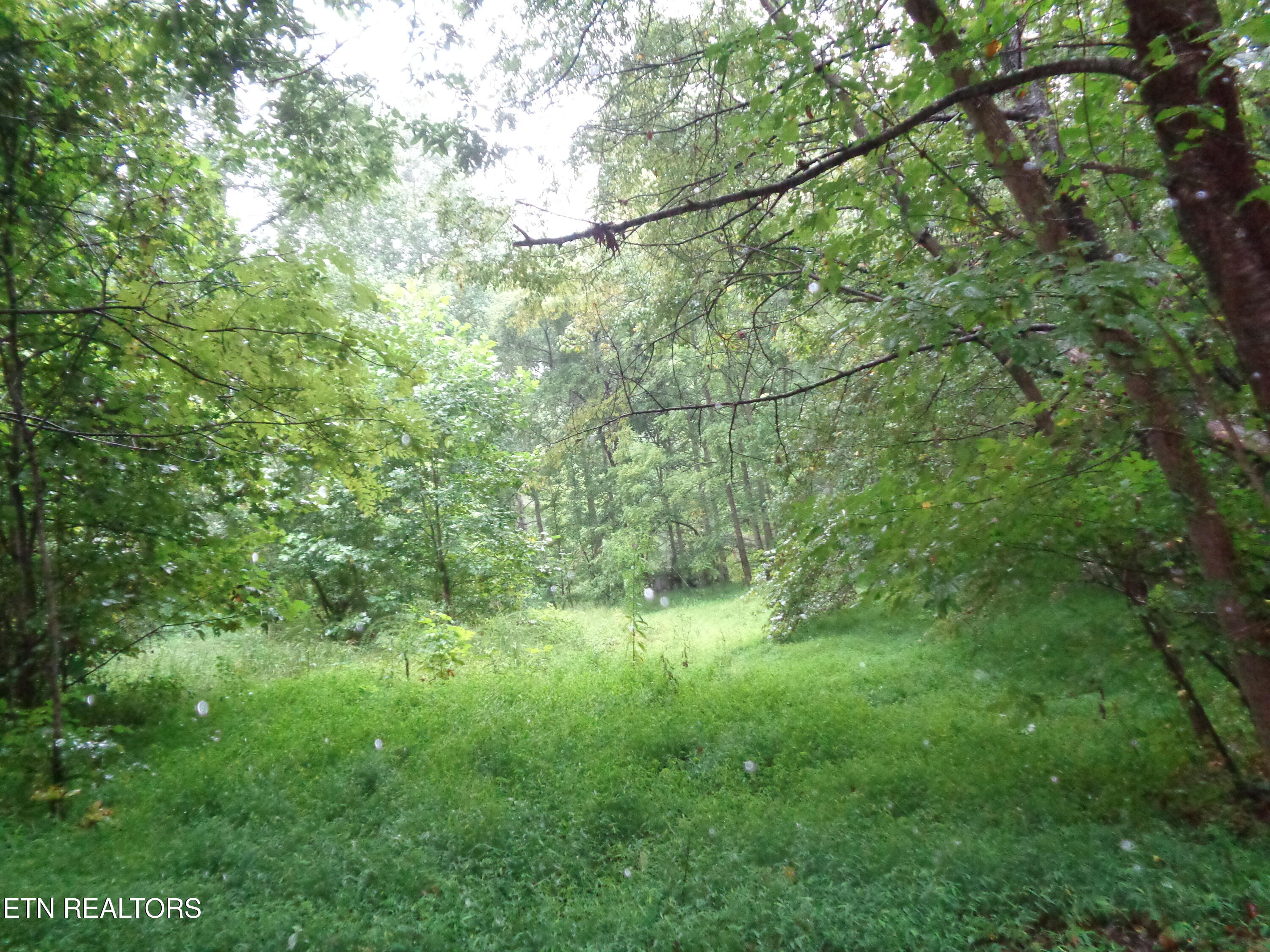 0 Buell Lane Speedwell, TN 37870 - Photo 24 of 26 DSC00896