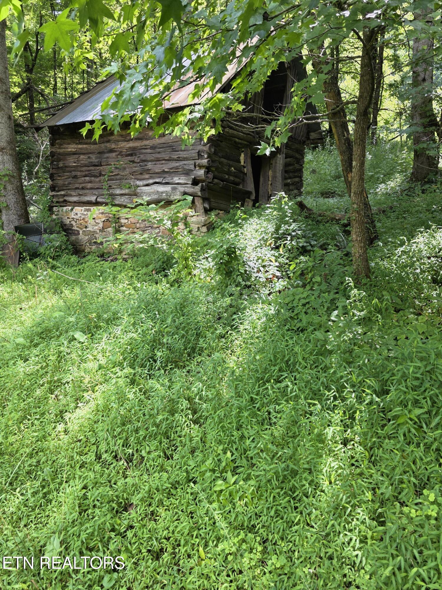 0 Buell Lane Speedwell, TN 37870 - Photo 3 of 26 20250716_111528 (1)