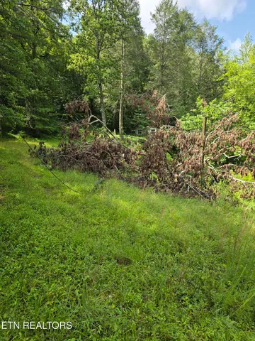 $650,000 | 0 Buell Lane, Speedwell, TN 37870