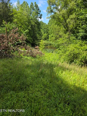 $650,000 | 0 Buell Lane, Speedwell, TN 37870