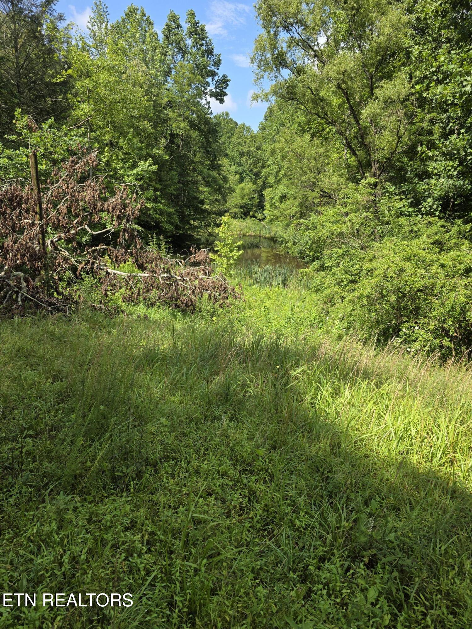 0 Buell Lane Speedwell, TN 37870 - Photo 6 of 26 20250716_111324