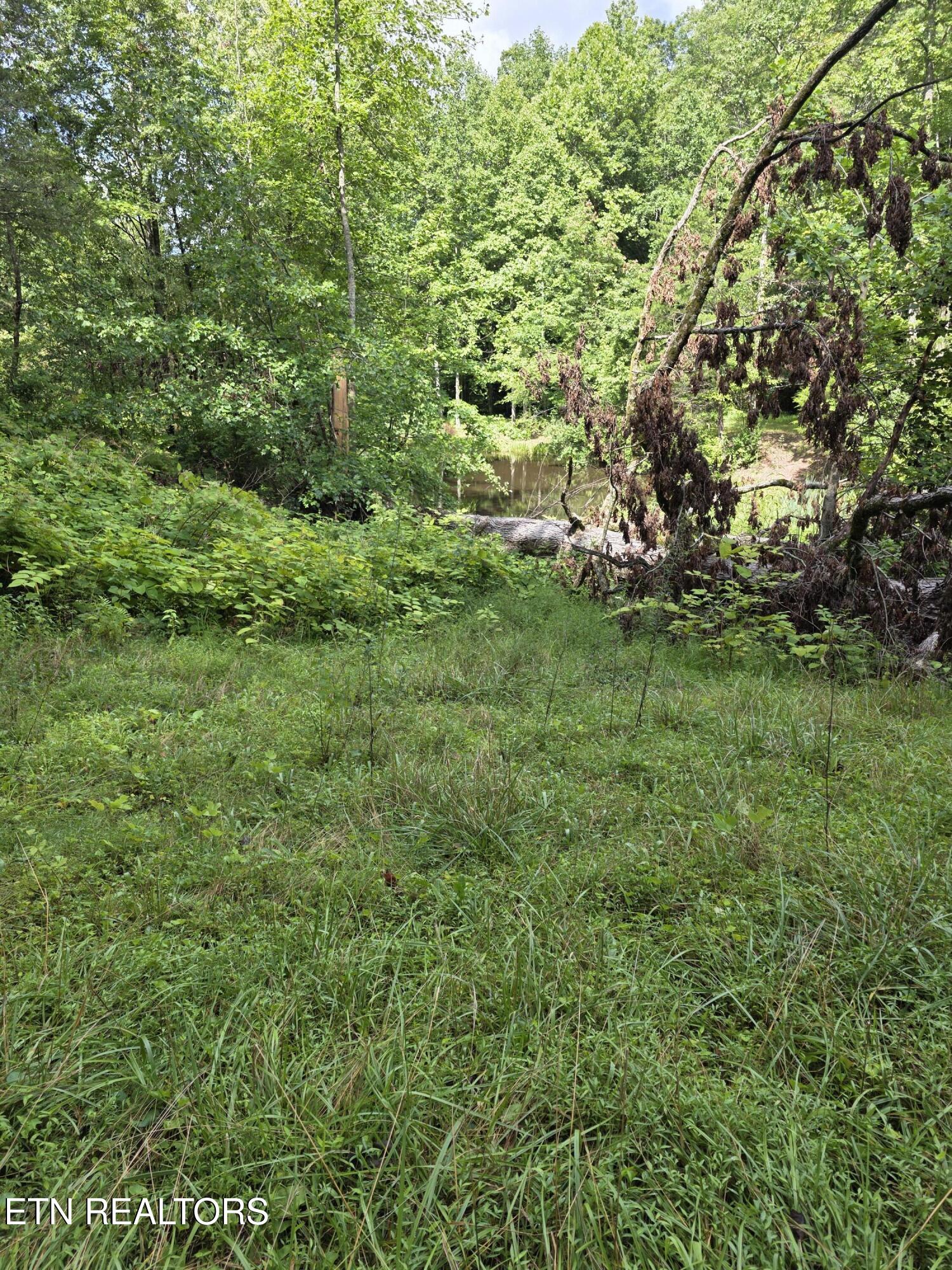 0 Buell Lane Speedwell, TN 37870 - Photo 7 of 26 20250716_111503 (1)