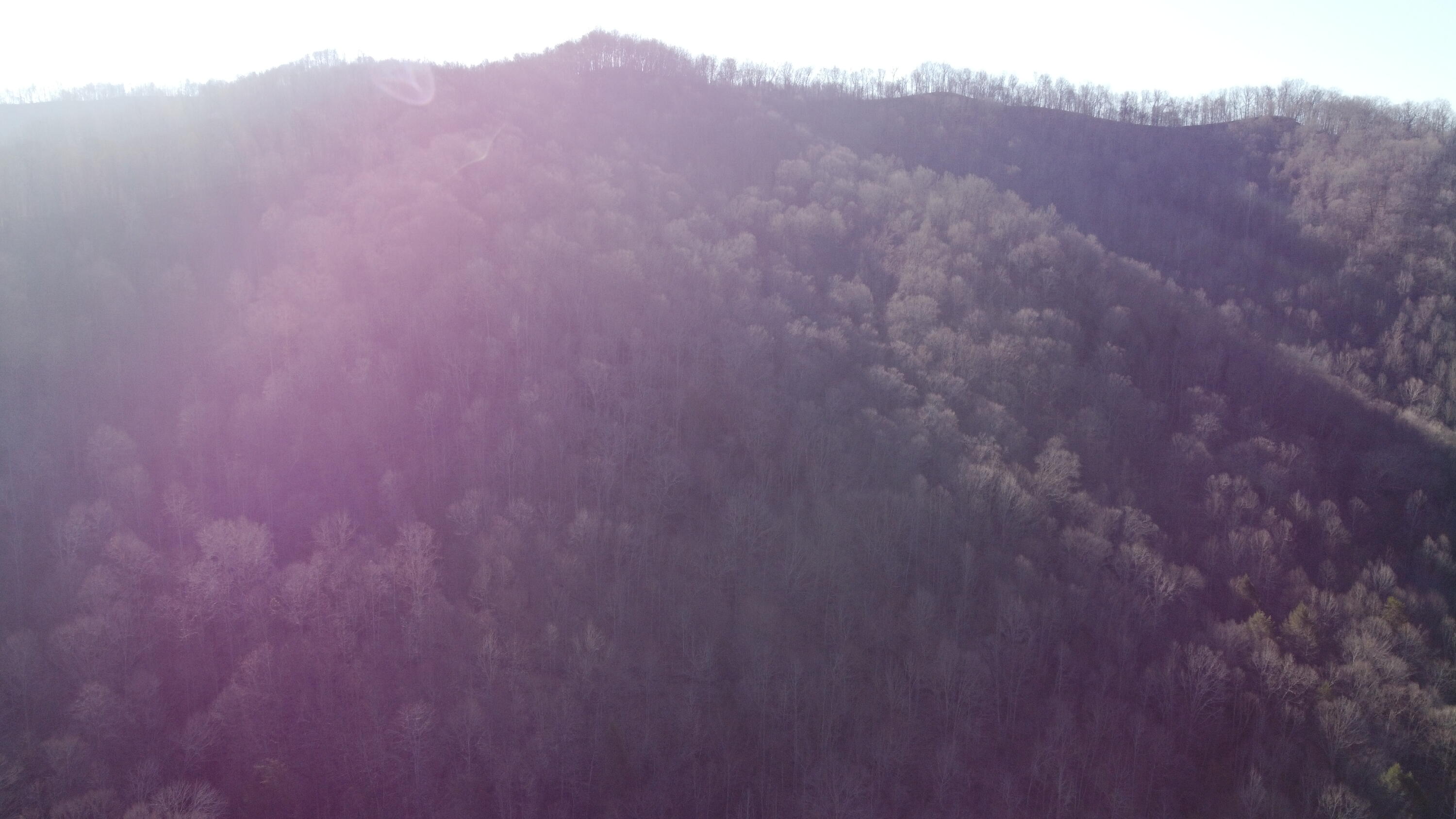 500 Simms Fork Road Arjay, KY 40902 - Photo 8 of 12 DJI_0571
