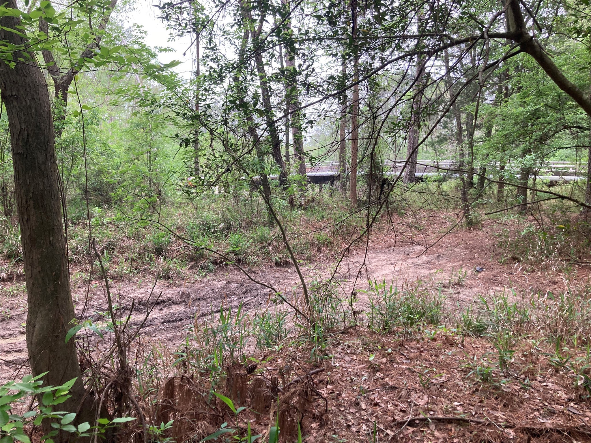 Tbd Afton Way Huffman, TX 77336 - Photo 14 of 25 a view of a forest with trees
