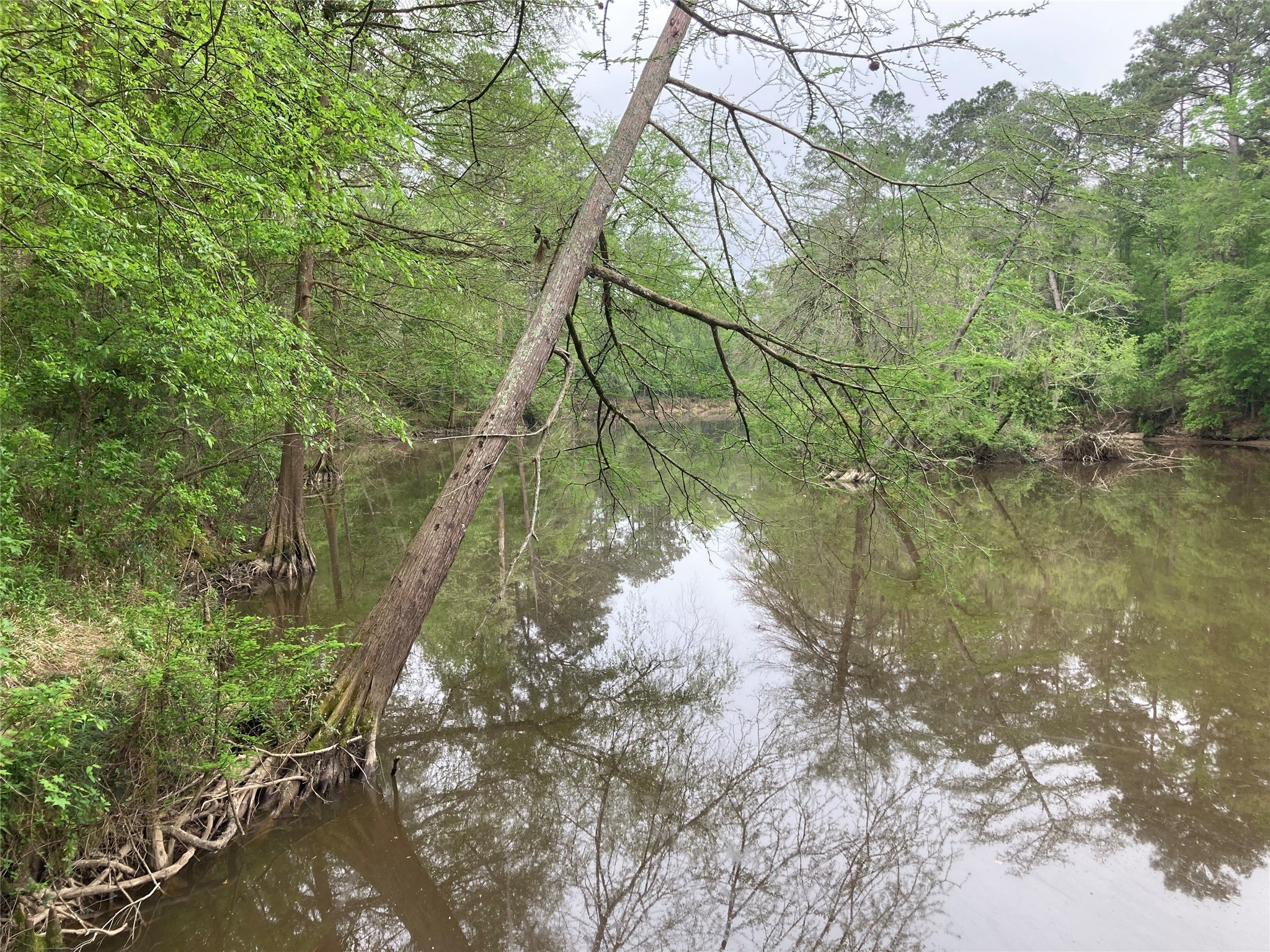 Tbd Afton Way Huffman, TX 77336 - Photo 16 of 25 a backyard of a house with lots of green space