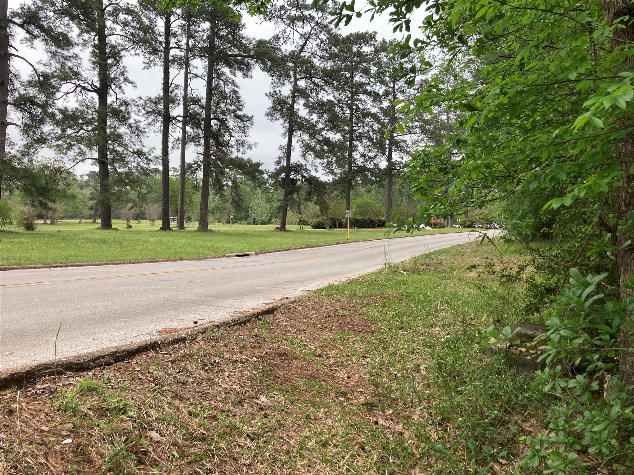 Tbd Afton Way Huffman, TX 77336 - Photo 17 of 25 a view of a yard with a trees