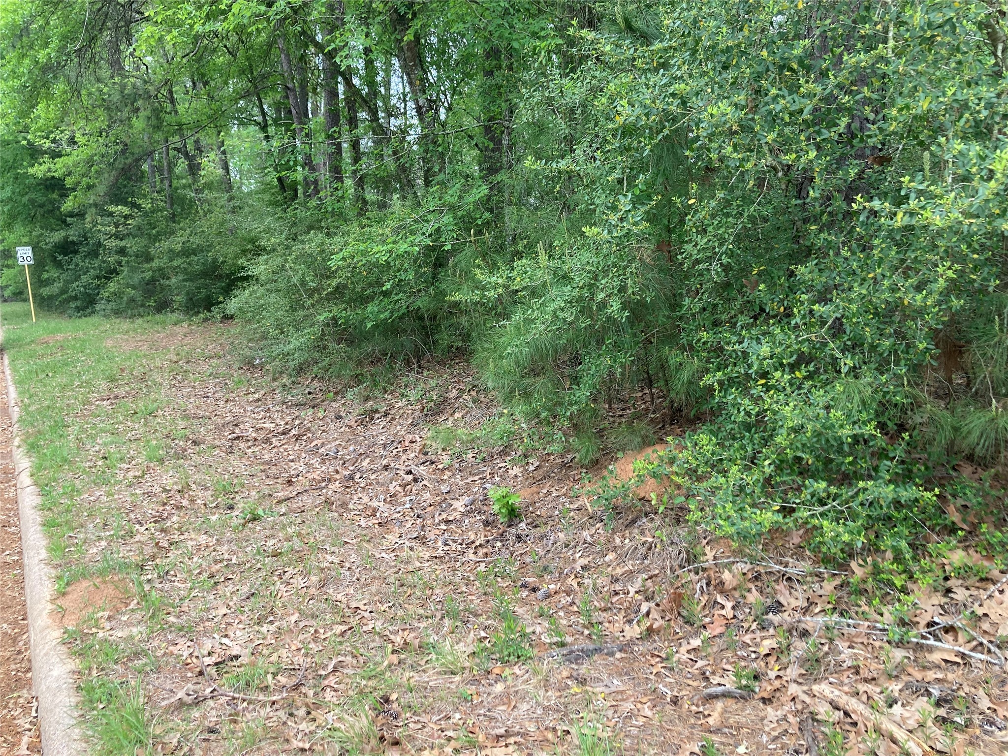 Tbd Afton Way Huffman, TX 77336 - Photo 20 of 25 a view of a yard with a plant