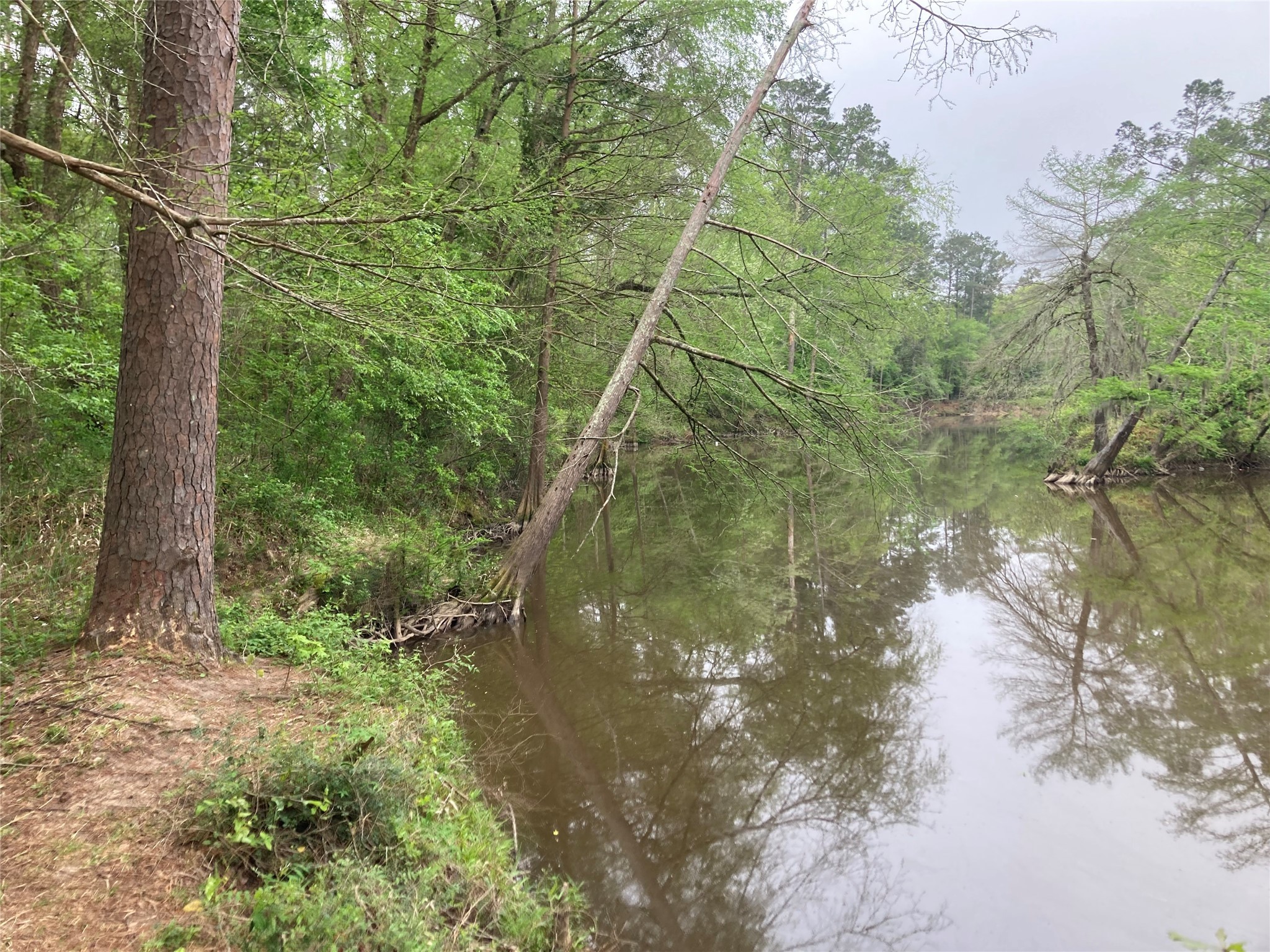 Tbd Afton Way Huffman, TX 77336 - Photo 2 of 25 a backyard of a house with lots of green space