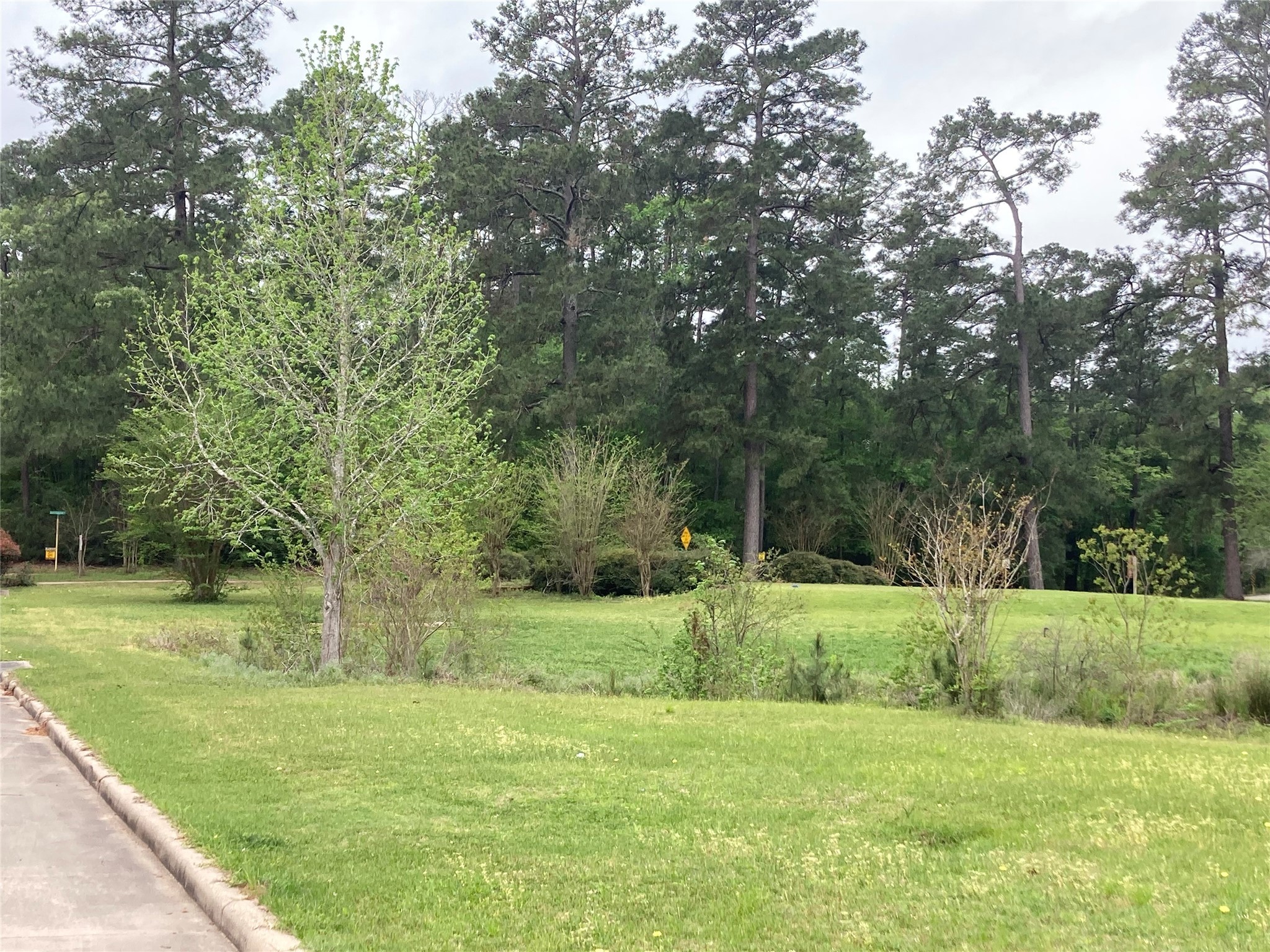 Tbd Afton Way Huffman, TX 77336 - Photo 23 of 25 a view of a grassy field with trees