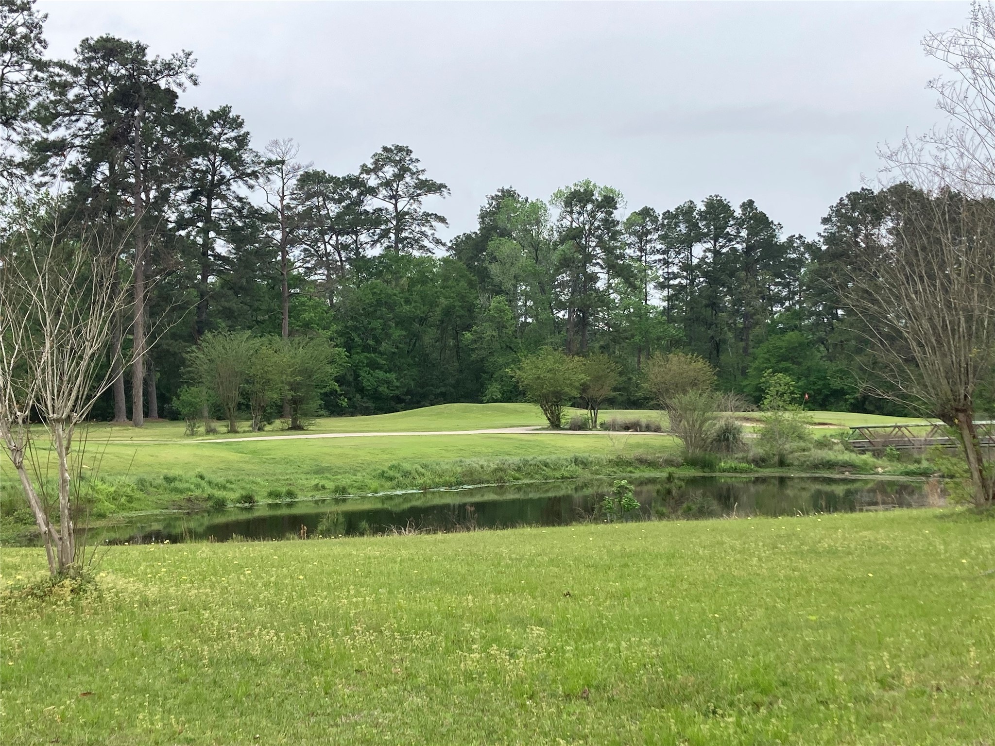 Tbd Afton Way Huffman, TX 77336 - Photo 24 of 25 a view of a park