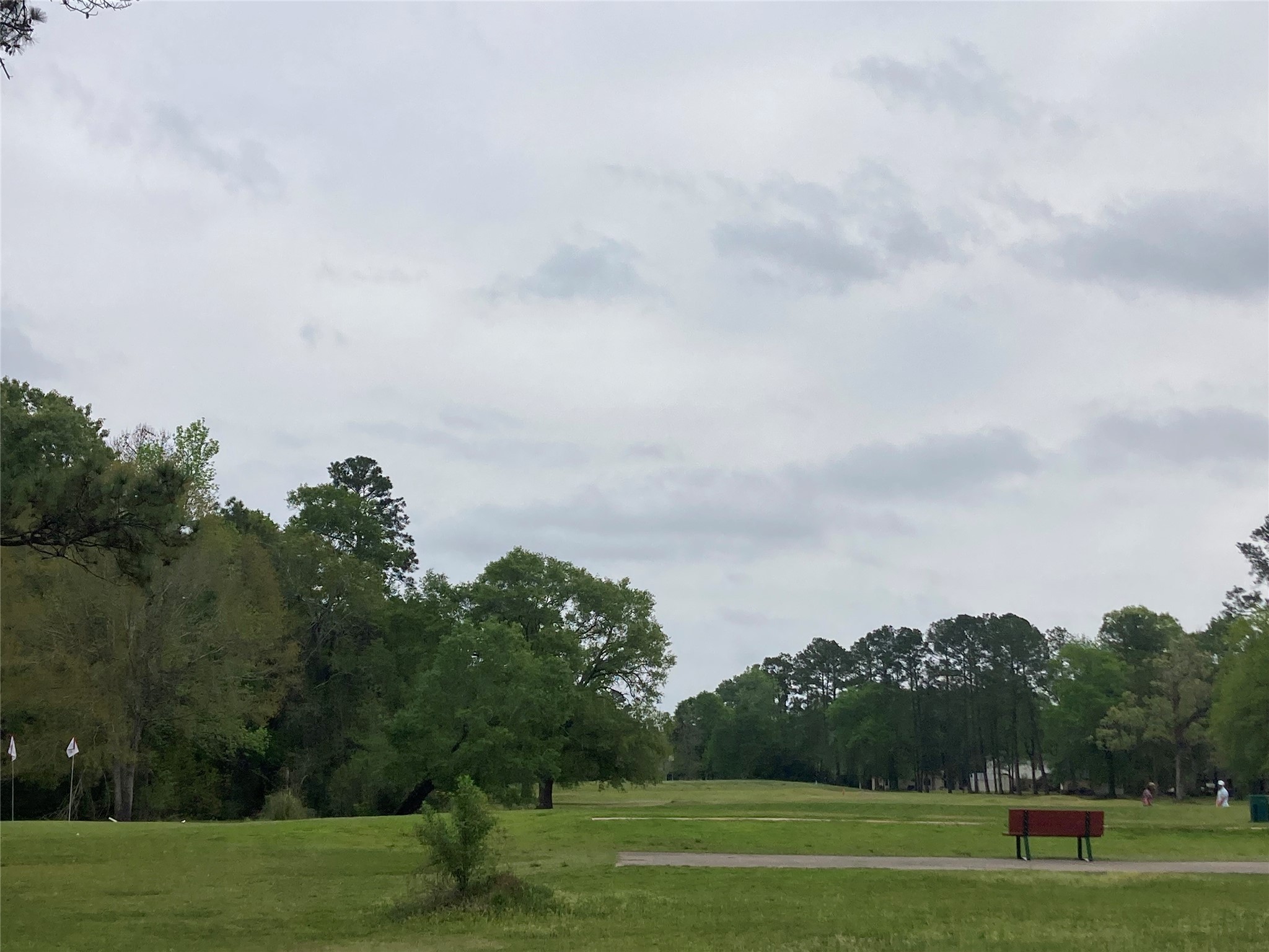 Tbd Afton Way Huffman, TX 77336 - Photo 25 of 25 a view of a big yard with a large trees