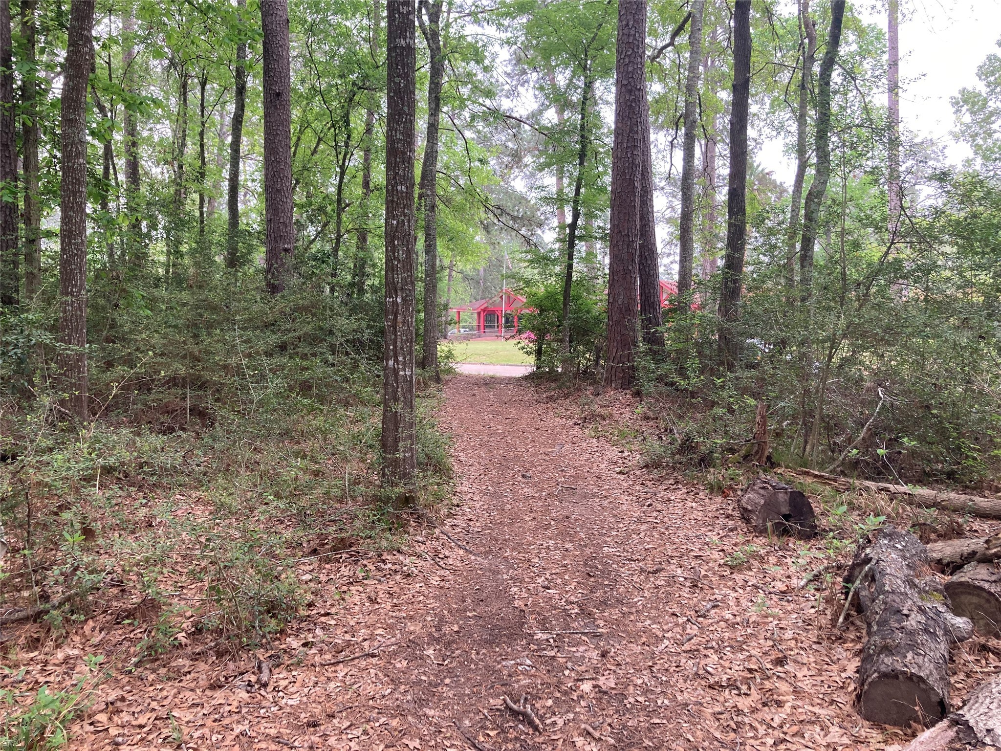 Tbd Afton Way Huffman, TX 77336 - Photo 4 of 25 a view of a forest with trees