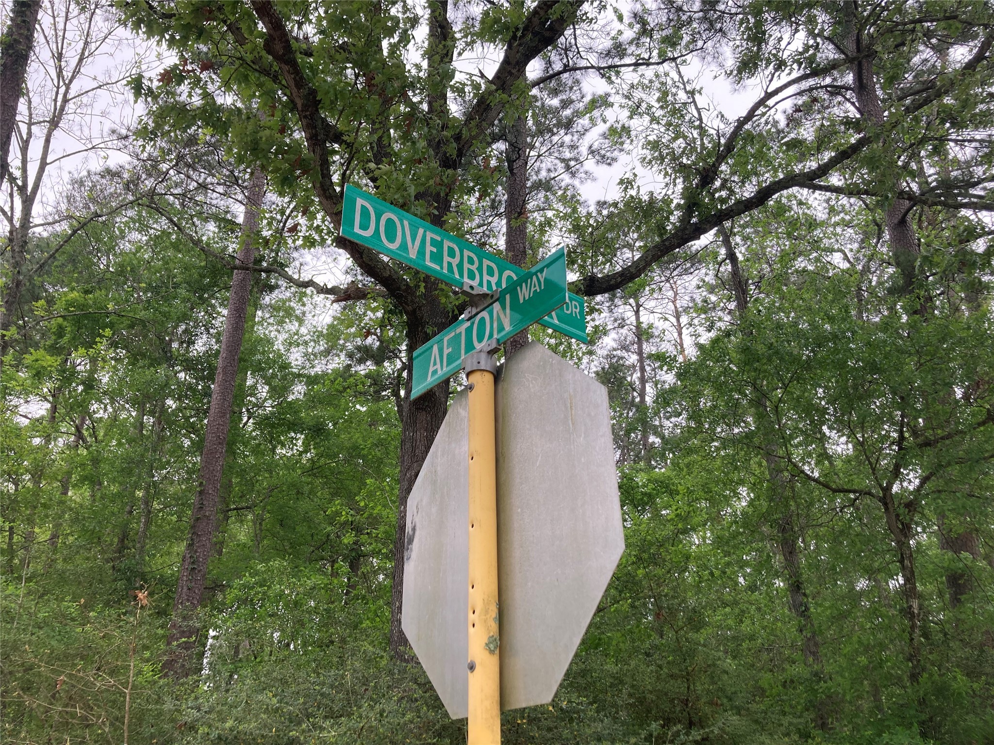 Tbd Afton Way Huffman, TX 77336 - Photo 5 of 25 a view of a backyard with tall trees