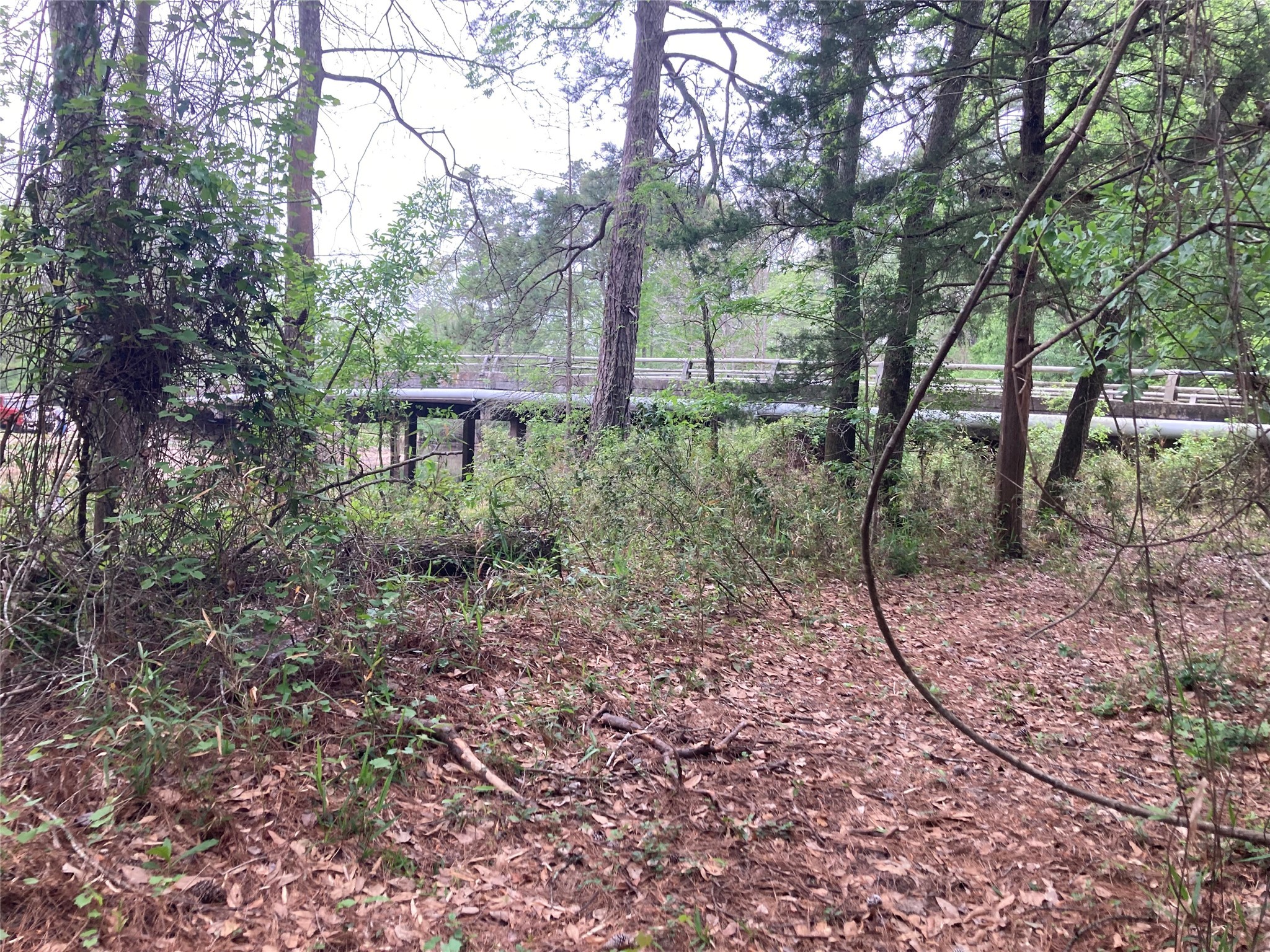 Tbd Afton Way Huffman, TX 77336 - Photo 7 of 25 a backyard of a house with lots of green space