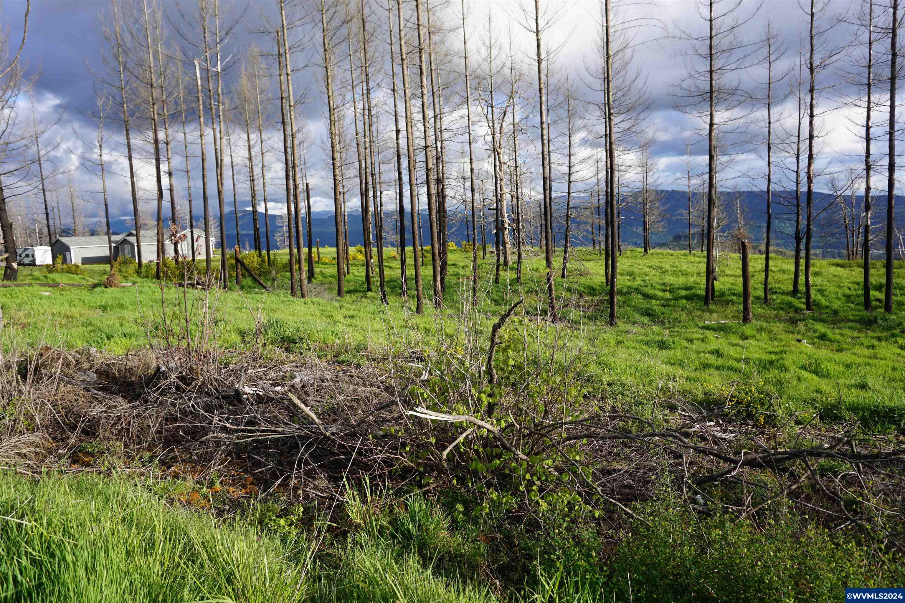 900 Wagner Road Lyons, OR 97358 - Photo 21 of 30