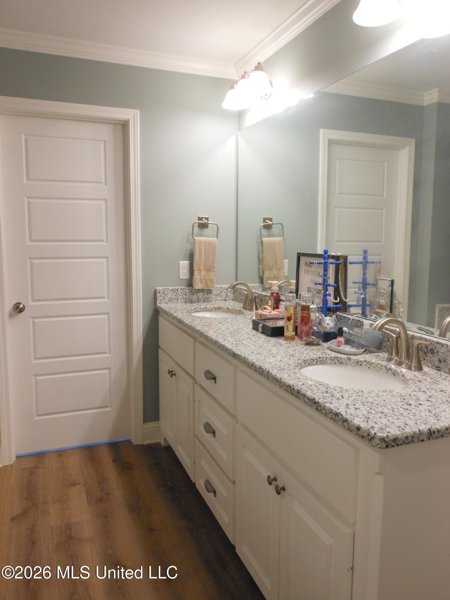 708 Lexington Drive Florence, MS 39073 - Photo 26 of 33 708 Lex MBA Dbl Vanity