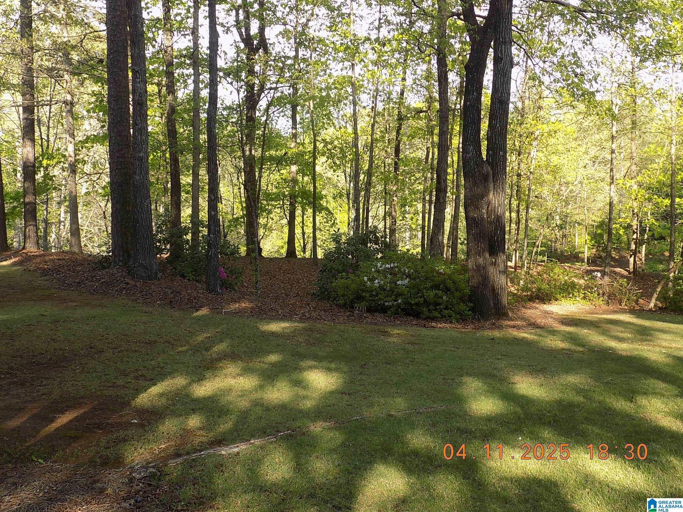 101 Autumn View Drive Sterrett, AL 35147 - Photo 3 of 41