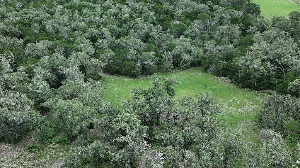 2625 Burke Road Flatonia, TX 78941 - Photo 8 of 19