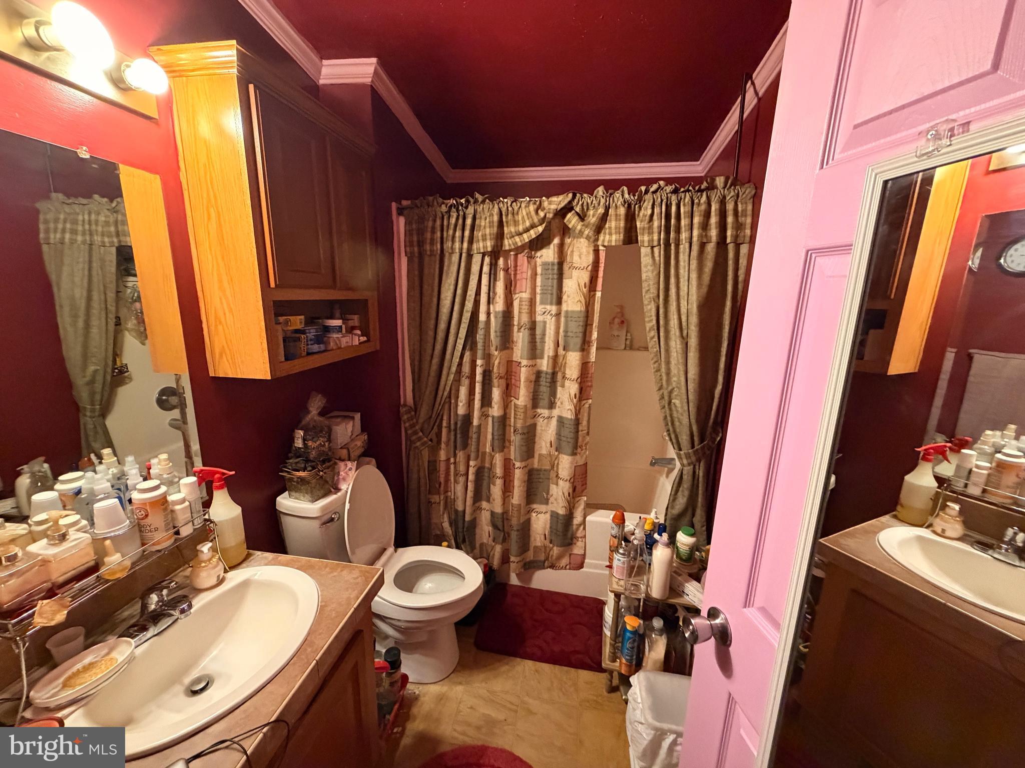 6565 Cabin Ridge Road Hurlock, MD 21643 - Photo 14 of 14 a bathroom with a sink mirror vanity and toilet