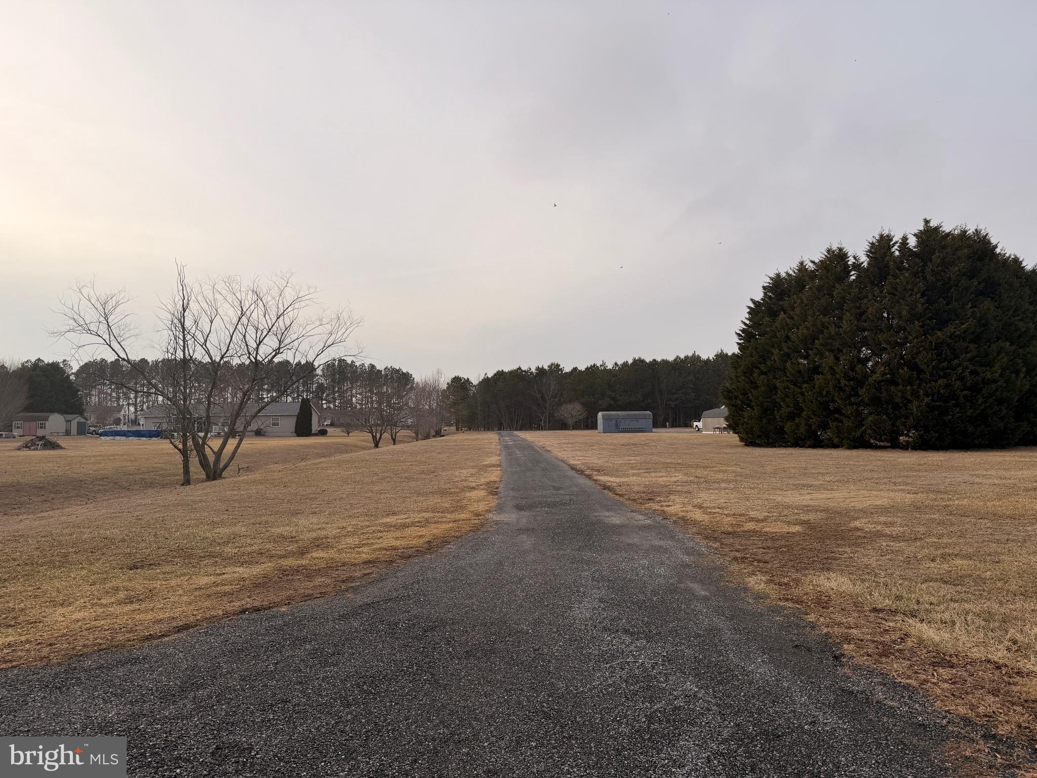 6565 Cabin Ridge Road Hurlock, MD 21643 - Photo 5 of 14 a view of ocean beach and mountain