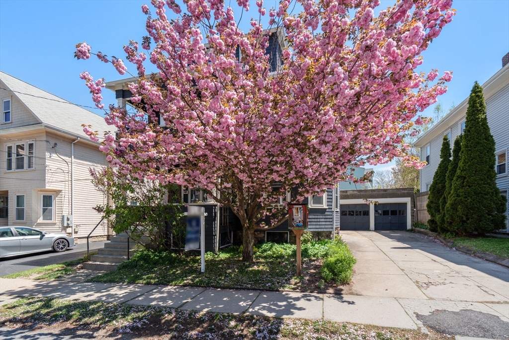 45 Springfield Street, Unit 1 Belmont, MA 02478 - Photo 25 of 27 a front view of a house with garden