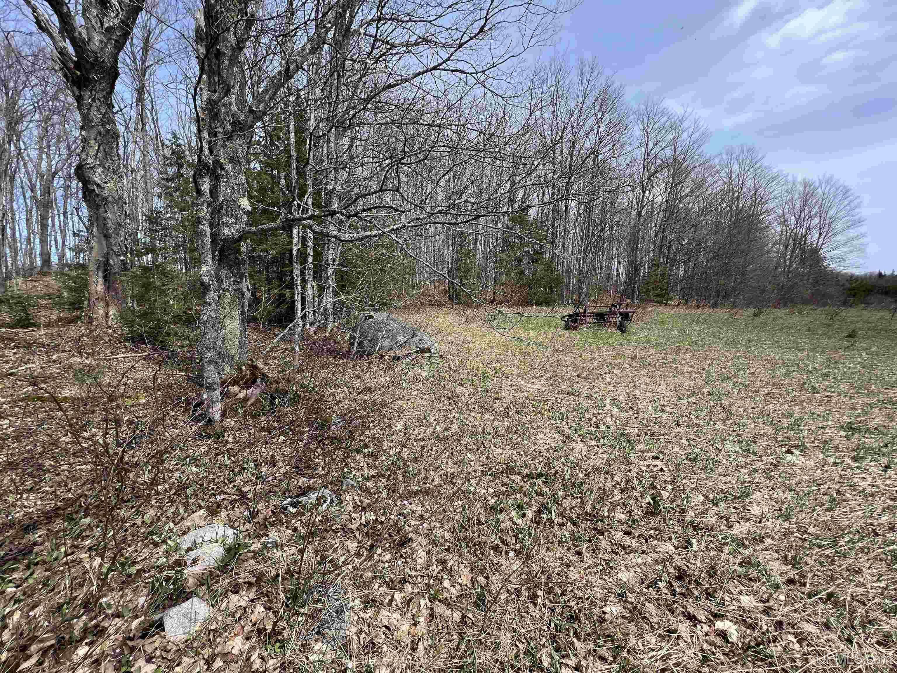 H58 St Shingleton Mi 49895 Shingleton, MI 49884 - Photo 10 of 21