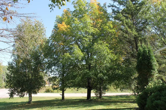 $329,000 | 41974 County Highway, Clitherall, MN 56524