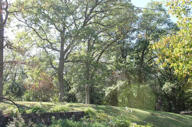 $329,000 | 41974 County Highway, Clitherall, MN 56524