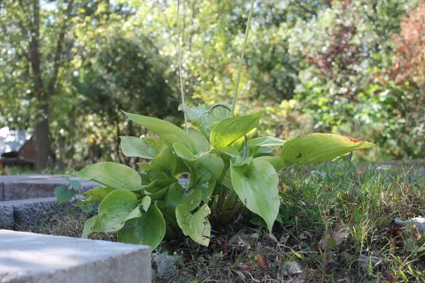 $299,900 | 41974 County Highway, Clitherall, MN 56524