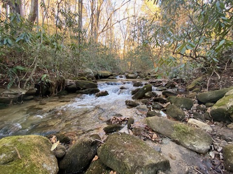 401 Rocky Bottom Road Sunset, SC 29685 - Photo 37 of 40 A tranquil creek flows through a natural landscape, offering a serene waterscape.