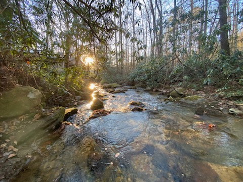 401 Rocky Bottom Road Sunset, SC 29685 - Photo 38 of 40 A tranquil creek flows through a lush forest, with sunlight filtering through the trees.