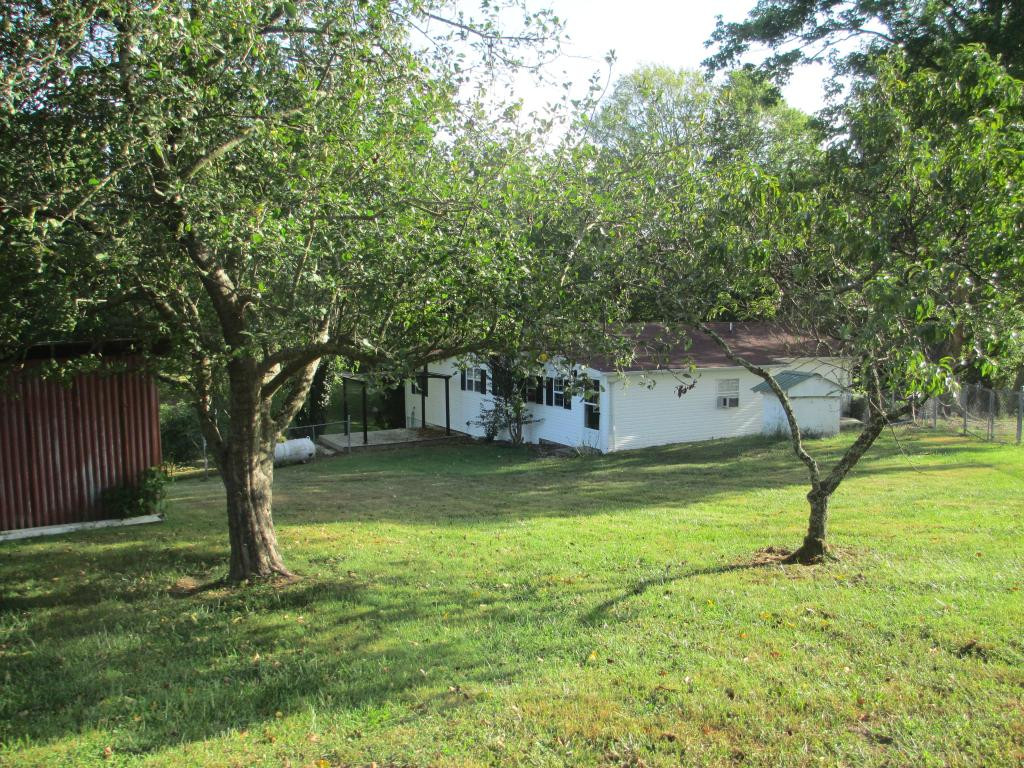 105 Glendale Road Limestone, TN 37681 - Photo 4 of 23 View from rear of property