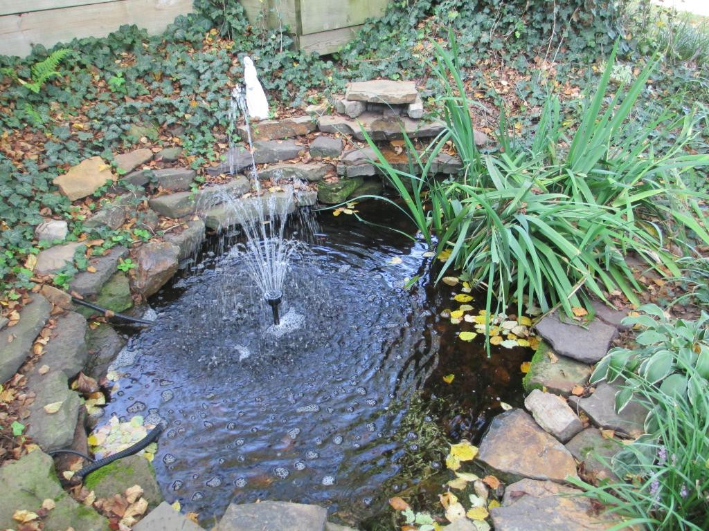 105 Glendale Road Limestone, TN 37681 - Photo 6 of 23 Relaxing pond with falls