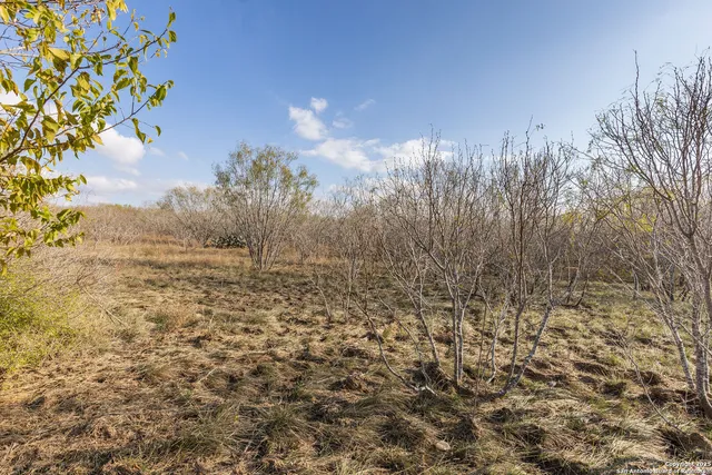 $3,700,000 | 0 Gin, Marion, TX 78124