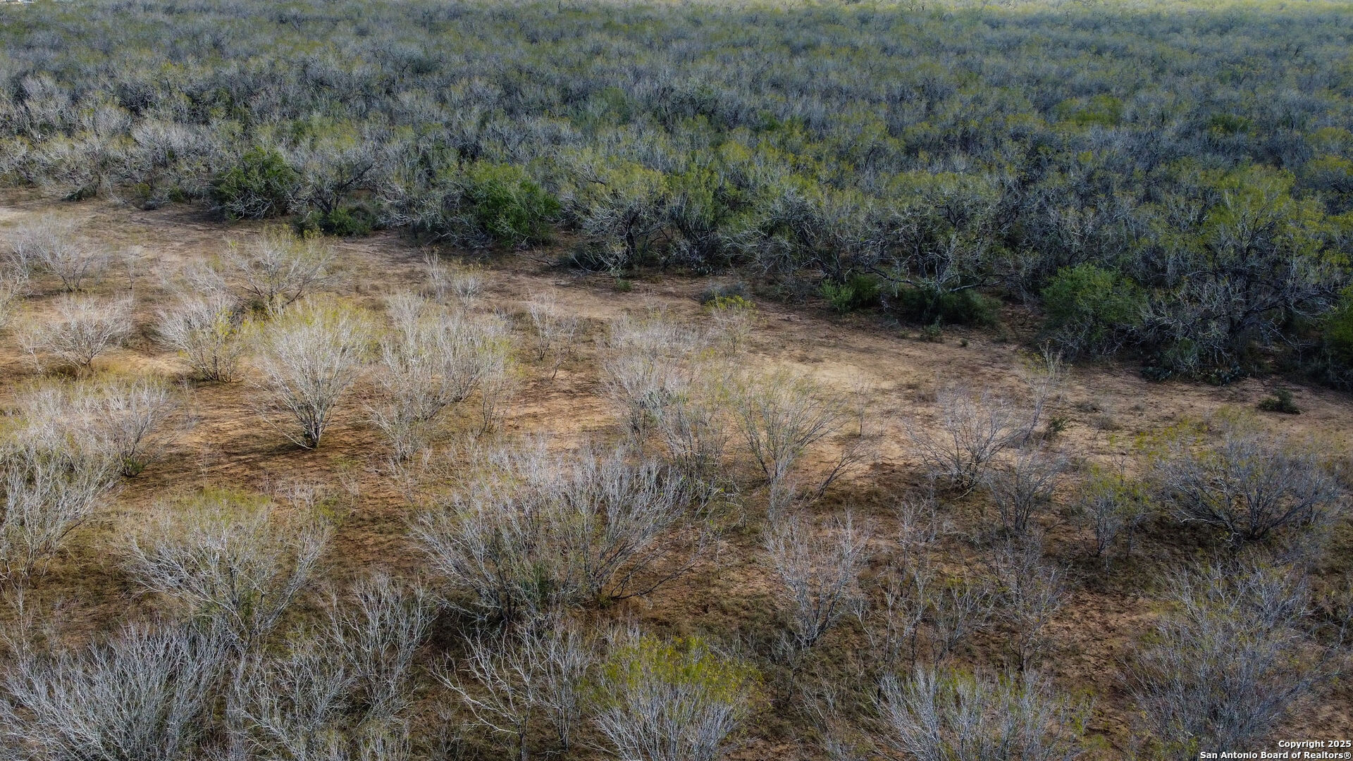 0 Gin Marion, TX 78124 - Photo 4 of 11 a view of a dry yard