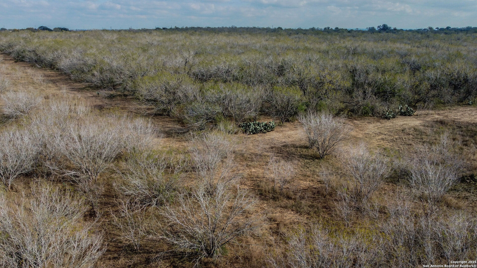0 Gin Marion, TX 78124 - Photo 5 of 11 a view of a lake with mountain in front of it